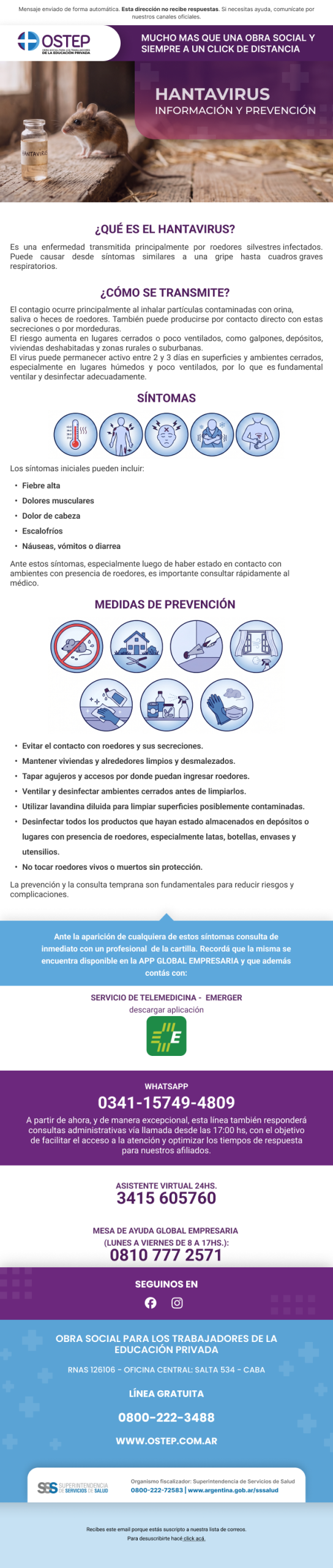 brochure & newsletter informativa sobre hantavirus, sintomas y medidas de prevención