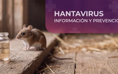 Hantavirus: Información y prevención